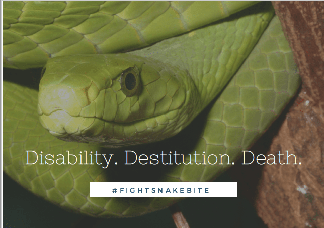 International Snakebite Awareness Day 2019 - Health Action International