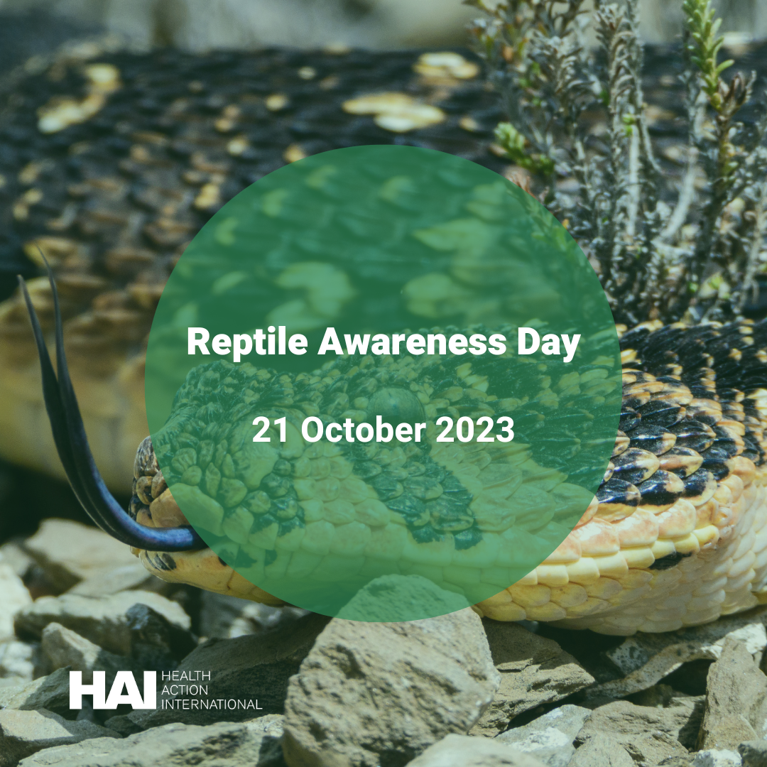 International Reptile Awareness Day Health Action International